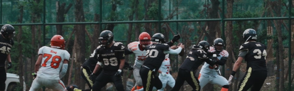  沃尔夫斯堡主场灯光故障延期比赛  